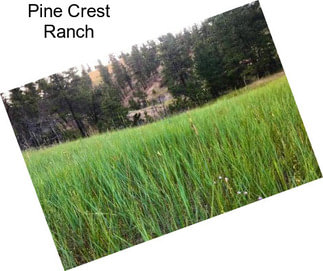 Pine Crest Ranch