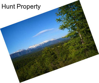 Hunt Property