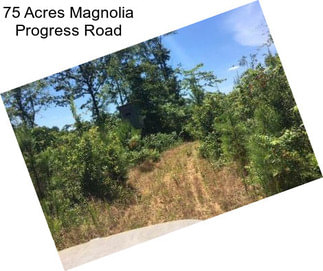 75 Acres Magnolia Progress Road
