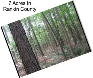 7 Acres In Rankin County