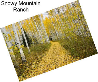 Snowy Mountain Ranch