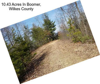 10.43 Acres In Boomer, Wilkes County