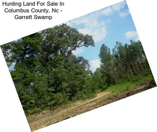 Hunting Land For Sale In Columbus County, Nc - Garrett Swamp