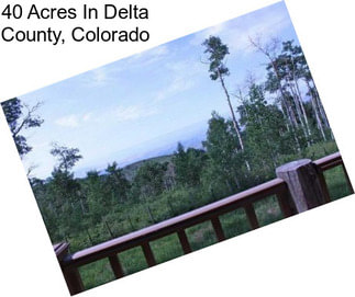 40 Acres In Delta County, Colorado