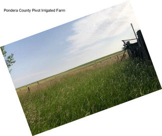 Pondera County Pivot Irrigated Farm