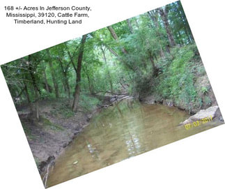 168 +/- Acres In Jefferson County, Mississippi, 39120, Cattle Farm, Timberland, Hunting Land