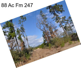 88 Ac Fm 247