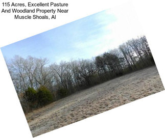 115 Acres, Excellent Pasture And Woodland Property Near Muscle Shoals, Al