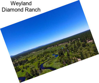 Weyland Diamond Ranch