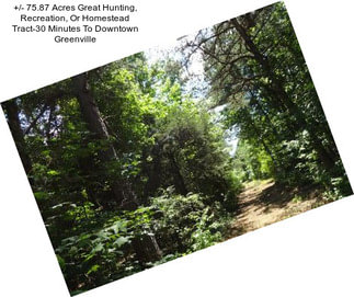 +/- 75.87 Acres Great Hunting, Recreation, Or Homestead Tract-30 Minutes To Downtown Greenville