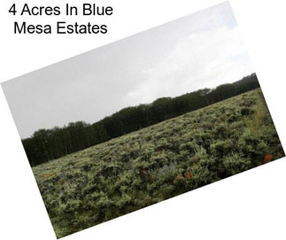 4 Acres In Blue Mesa Estates