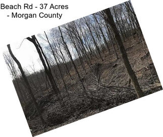 Beach Rd - 37 Acres - Morgan County