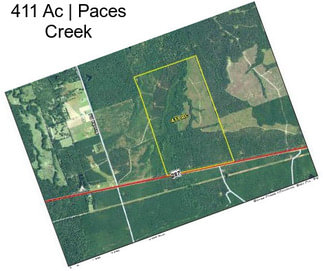 411 Ac | Paces Creek