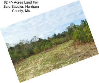 82 +/- Acres Land For Sale Saucier, Harrison County, Ms