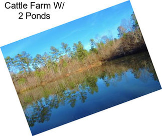 Cattle Farm W/ 2 Ponds