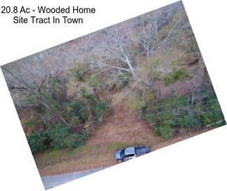20.8 Ac - Wooded Home Site Tract In Town