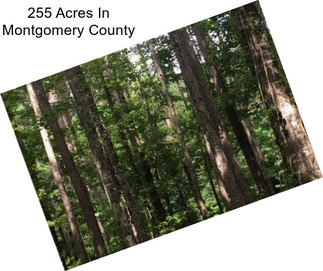 255 Acres In Montgomery County