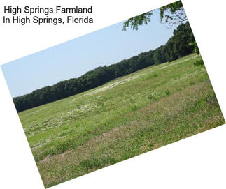 High Springs Farmland In High Springs, Florida