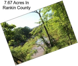 7.67 Acres In Rankin County