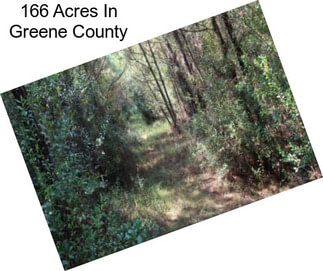 166 Acres In Greene County