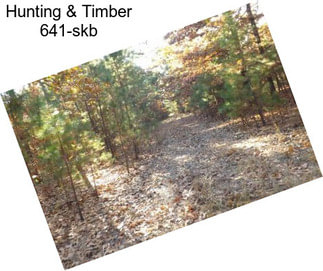Hunting & Timber 641-skb