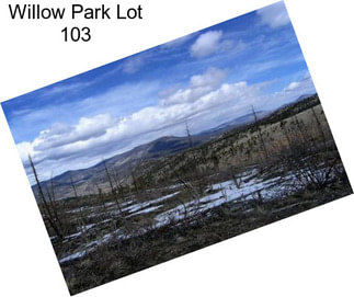 Willow Park Lot 103