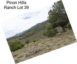Pinon Hills Ranch Lot 39