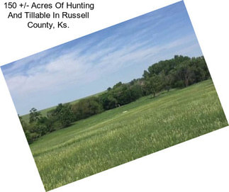 150 +/- Acres Of Hunting And Tillable In Russell County, Ks.