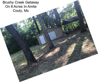 Brushy Creek Getaway On 8 Acres In Amite Couty, Ms