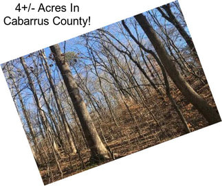 4+/- Acres In Cabarrus County!