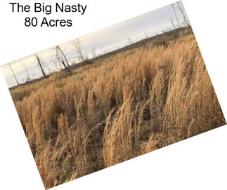 The Big Nasty 80 Acres