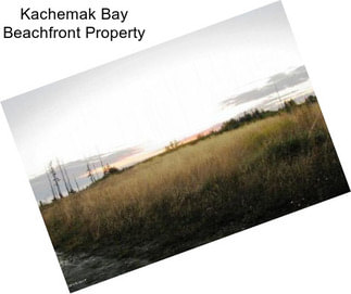 Kachemak Bay Beachfront Property