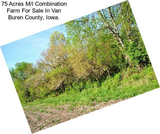 75 Acres M/l Combination Farm For Sale In Van Buren County, Iowa.