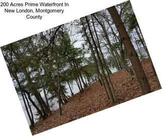 200 Acres Prime Waterfront In New London, Montgomery County