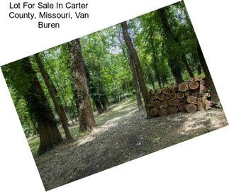 Lot For Sale In Carter County, Missouri, Van Buren