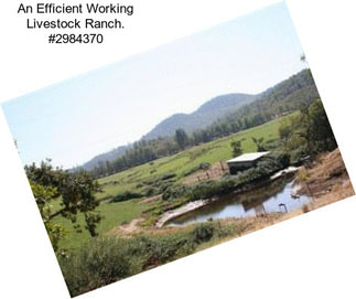 An Efficient Working Livestock Ranch. #2984370