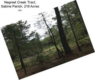 Negreet Creek Tract, Sabine Parish, 218 Acres +/-