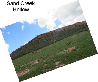 Sand Creek Hollow