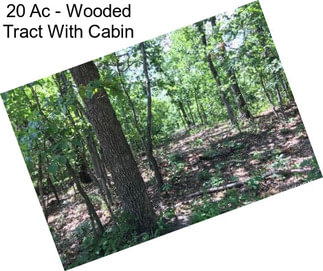 20 Ac - Wooded Tract With Cabin