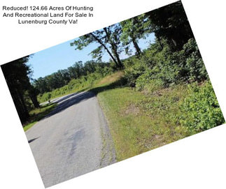 Reduced! 124.66 Acres Of Hunting And Recreational Land For Sale In Lunenburg County Va!