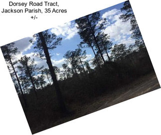 Dorsey Road Tract, Jackson Parish, 35 Acres +/-