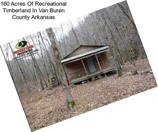 160 Acres Of Recreational Timberland In Van Buren County Arkansas