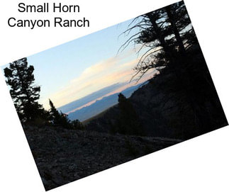 Small Horn Canyon Ranch