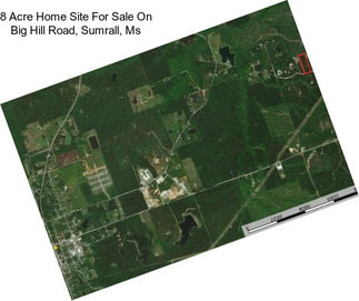 8 Acre Home Site For Sale On Big Hill Road, Sumrall, Ms