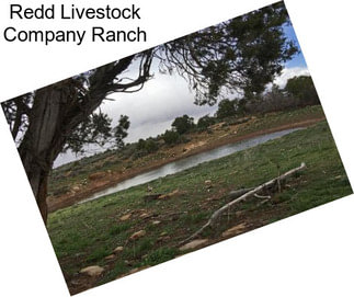 Redd Livestock Company Ranch