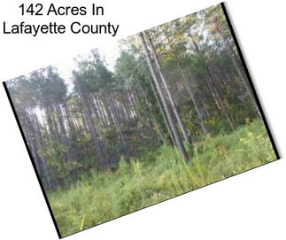 142 Acres In Lafayette County