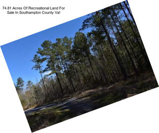 74.81 Acres Of Recreational Land For Sale In Southampton County Va!