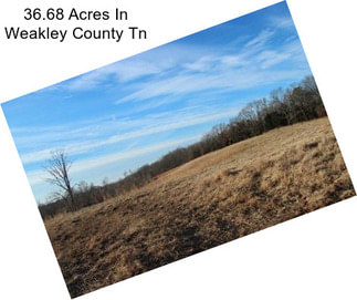 36.68 Acres In Weakley County Tn