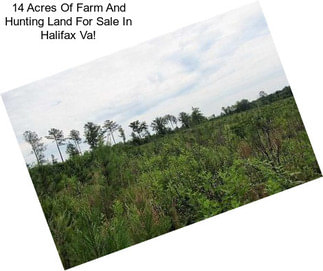 14 Acres Of Farm And Hunting Land For Sale In Halifax Va!