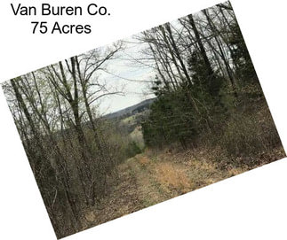 Van Buren Co. 75 Acres